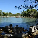 Mirko A1 Molat