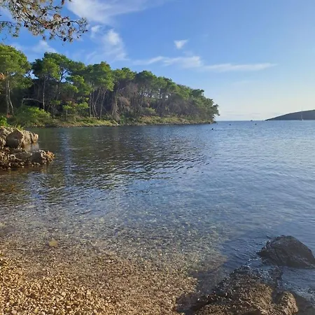 Mirko A1 アパート