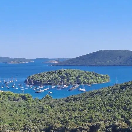 Mirko A1 アパート *