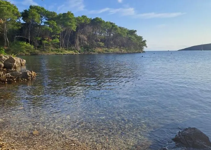 Mirko A1 アパート