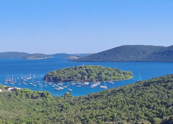 Mirko A1 アパート *